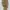 Carhartt Vintage Streetwear Dungaree Pria tan brown photo 3