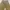 Carhartt Vintage Streetwear Dungaree Pria tan brown photo 5