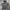 Sportswear Hoody Pria gray photo 1