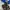 Adidas Campus 00s photo 1