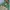Columbia Gorpcore Windbreaker Pria green khaki photo 2