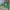 Columbia Gorpcore Windbreaker Pria Green Khaki