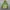 Columbia Gorpcore Windbreaker Pria green khaki photo 1