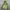 Columbia Gorpcore Windbreaker Pria Green Khaki