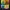BIG rapper photo 2
