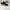 Nike Sportswear Sneakers Pria white black photo 4