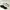 Nike Sportswear Sneakers Pria white black photo 1