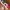 Nike Streetwear Y2K Sneakers Pria multicolor photo 1