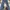 H&M Casual Skinny jeans Wanita multicolor photo 4