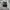 SALOMON S-LAB XT6 Beluga Pewter/Dull Gold photo 6