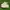 Nike Streetwear Sportswear Sneakers Pria white photo 1
