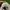 Nike Streetwear Sportswear Sneakers Pria white photo 6