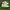 Nike Streetwear Sportswear Sneakers Pria white photo 2