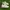 Nike Streetwear Sportswear Sneakers Pria White
