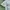 KIRSCH Japanese Archive CAST CO.,LTD Vintage Designer Style photo 3
