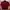 Puma Casual T-shirt Pria burgundy photo 1