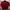 Puma Casual T-shirt Pria Burgundy