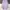 Lip service v neck lilac flare sleeve tunic  photo 8