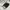 Converse Skater Casual Sneakers Pria white black photo 6