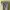 Levi's Casual Casual pants Pria cream photo 4