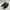 Converse Skater Casual Sneakers Pria white black photo 2