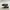 Converse Skater Casual Sneakers Pria white black photo 1