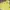 Nike Sportswear Hoody Pria yellow photo 2
