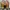 Dr. Martens 1460 photo 5