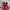 Dr. Martens 1460 Red Cherry photo 1