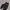 NIKE SB Stefan Janoski skate shoes 45.5 photo 1