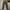Streetwear Y2K Casual pants Pria brown photo 1