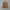 Uniqlo Jacket photo 7