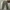 Streetwear Y2K Casual pants Pria green photo 1