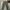 Streetwear Y2K Casual Pants Pria Green