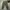 Streetwear Y2K Casual pants Pria green photo 3
