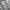 The North Face Casual Puffer jacket Pria black photo 4