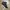 [Termurah] Sneakers - Adidas Superstar Full Black photo 2