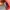The North Face Gorpcore Track jacket Pria red photo 3