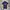 Polo Shirt Ralph Lauren Australia