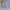 Lee Casual Wide leg jeans Wanita blue photo 1