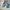 Pull&Bear Floral Puff Sleeve Smocked Crop Top photo 5