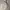 Outdoor Jacket by Eddie bauer women parka jacket color cream photo 1
