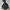 Eddie Bauer Outdoor Jacket Outfitter Color Black Parka Origi