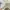 Blackburn Rovers FC 2018/2019 home jersey  photo 4