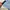 Blackburn Rovers FC 2018/2019 home jersey photo 6