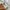 Blackburn Rovers FC 2018/2019 home jersey photo 7