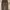 Streetwear Jeans Pria brown photo 4
