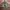 Jam Tangan Digital Time Spark photo 8