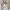 Slow Steady Beige Knit Tie Front Outer Morikei Fairy photo 8