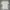Kaos Uniqlo Supima White photo 2